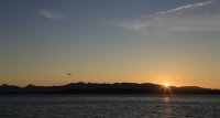 IMG_0004.jpg
