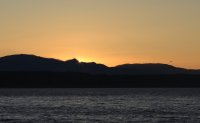 IMG_0005.jpg