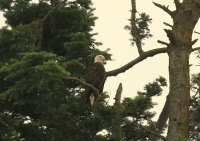 IMG_0001.jpg