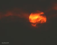 9-5-2017 smokey sun at 6P_2457.JPG