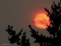 9-5-2017 smokey sun at 6P_2532.JPG