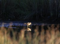 IMG_0007.jpg