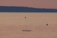 IMG_0001.jpg