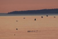 IMG_0002.jpg