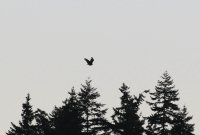 IMG_0002.jpg