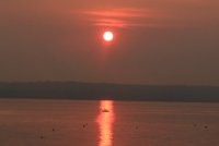 IMG_0002.jpg