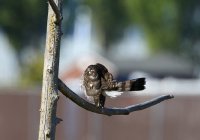 IMG_0004.jpg