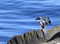IMG_0002.jpg