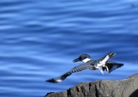 IMG_0003.jpg