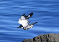 IMG_0004.jpg