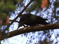 IMG_0002.jpg
