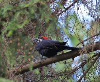 IMG_0004.jpg