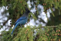 IMG_0005.jpg