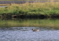 IMG_0004.jpg