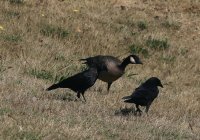 IMG_0003.jpg