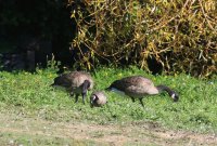 IMG_0004.jpg