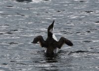 IMG_0004.jpg