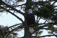 IMG_0001.jpg