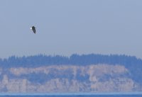 IMG_0001.jpg