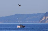 IMG_0002.jpg