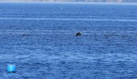 IMG_0004.jpg