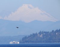 IMG_0005.jpg