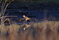 IMG_0005.jpg