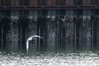 IMG_0005.jpg
