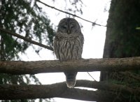 IMG_0005.jpg
