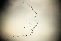 IMG_0003.jpg