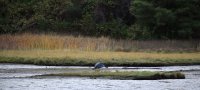 IMG_0004.jpg