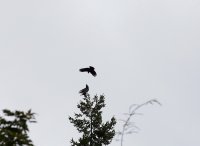 IMG_0001.jpg
