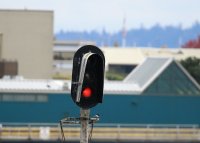 IMG_0005.jpg