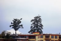 IMG_0001.jpg