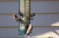 IMG_0001.jpg