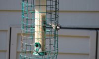 IMG_0005.jpg