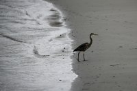 IMG_0002.jpg