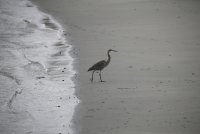 IMG_0003.jpg