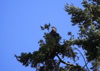 IMG_0001.jpg