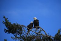 IMG_0003.jpg