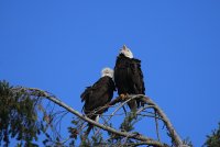 IMG_0004.jpg