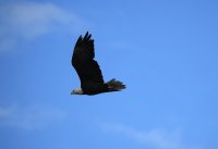 IMG_0005.jpg