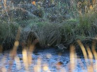 IMG_0002.jpg