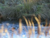 IMG_0003.jpg