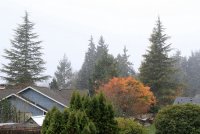 IMG_0001.jpg