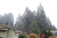 IMG_0002.jpg