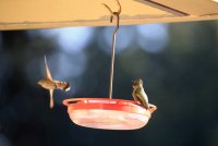 IMG_0002.jpg