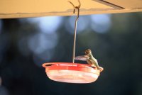 IMG_0003.jpg