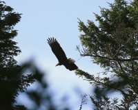 IMG_0004.jpg