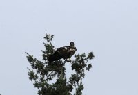 IMG_0001.jpg